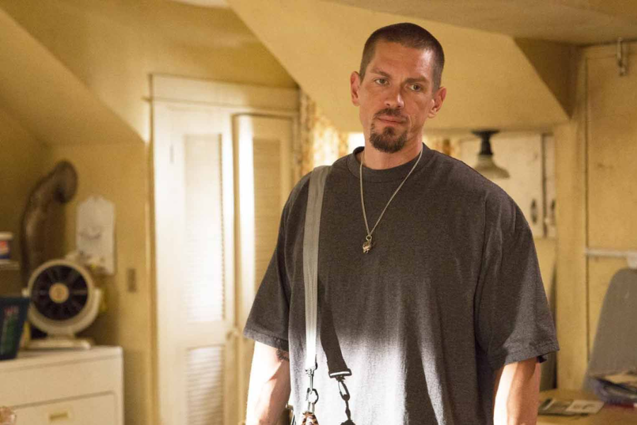 steve howey net worth